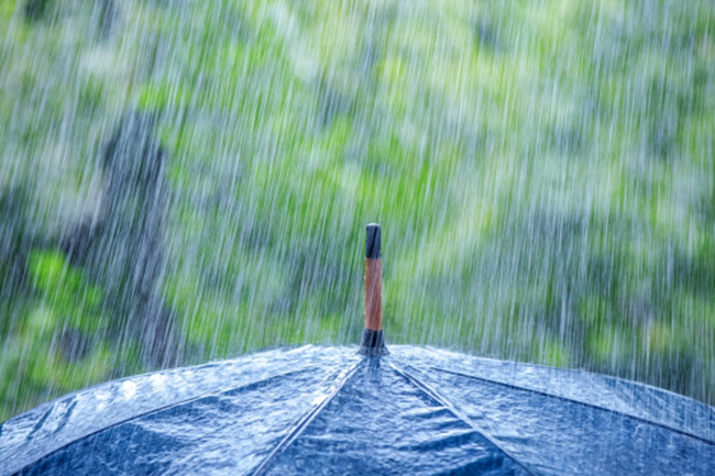 Showers or thundershowers expected after 2pm
