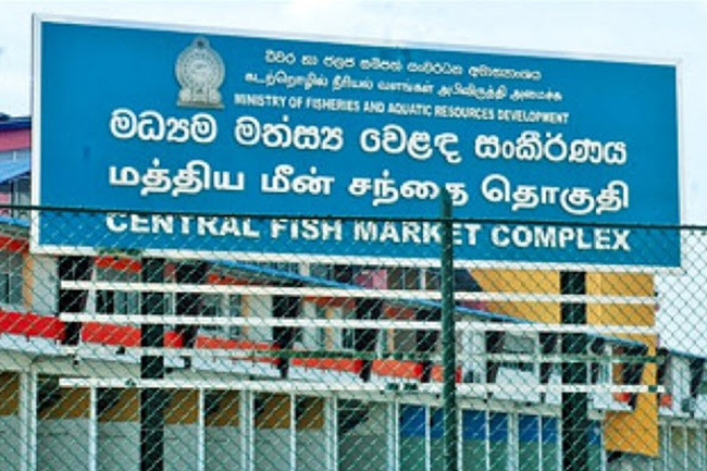 Peliyagoda Fish Market to reopen only for wholesale trading