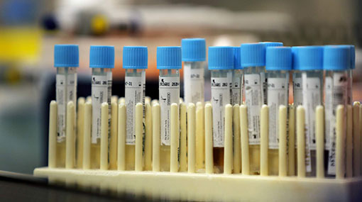 Sri Lanka reports 285 new Covid-19 cases