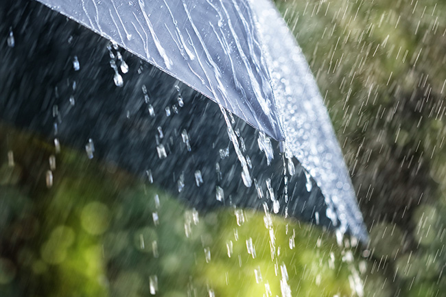 Showers or thundershowers likely in some areas