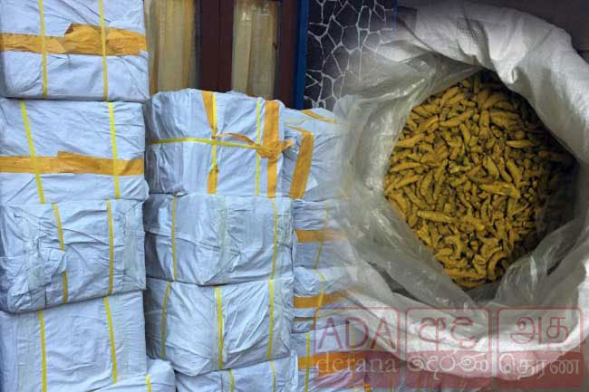 STF raid seizes 1,950 kg of illegally imported turmeric