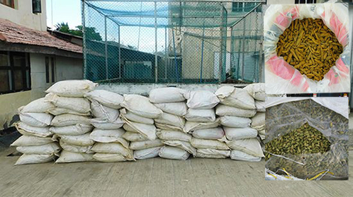 Four Indians apprehended while trying to smuggle in dried turmeric & cardamom