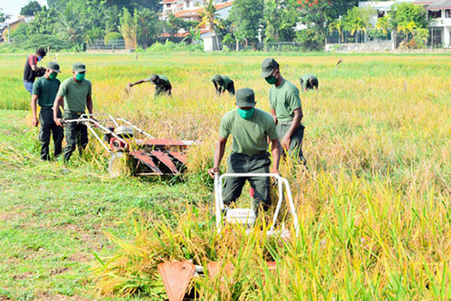 SL Army establishes Agriculture and Livestock Corps