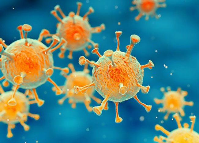UK strain of coronavirus detected in person visiting Sri Lanka