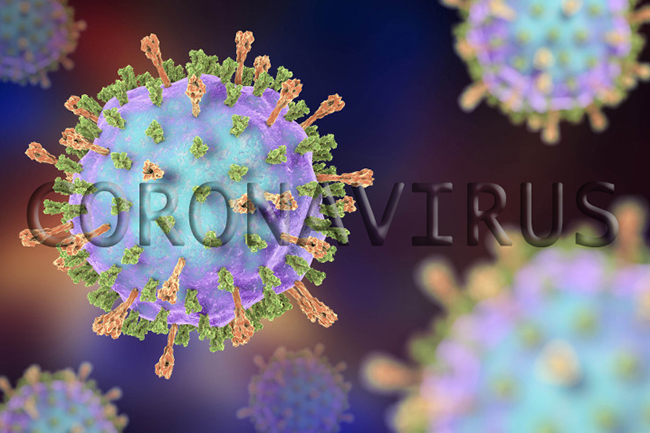 Coronavirus: 480 more patients discharged upon recovery