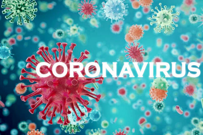 354 more coronavirus cases reported