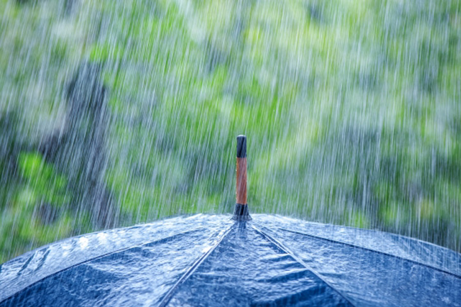 Showers or thundershowers expected in some areas