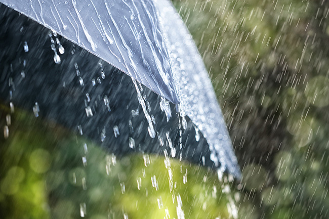 Few showers expected in Eastern, Uva provinces