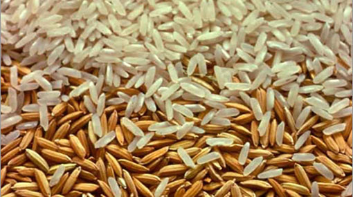 Paddy stocks with Paddy Marketing Board to be converted to rice