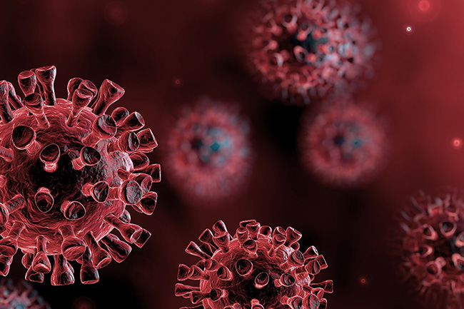 Two new COVID deaths take total to 534