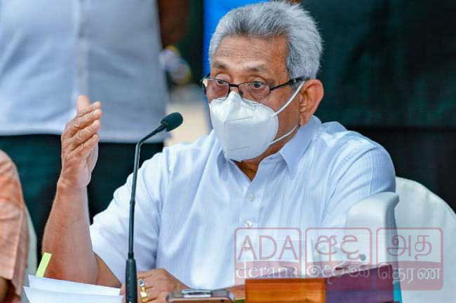 Govt hasnt permitted anyone to fell trees or destroy environment - President