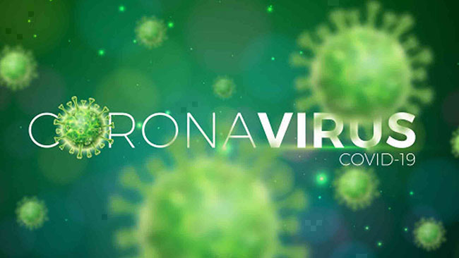 291 more recover from coronavirus