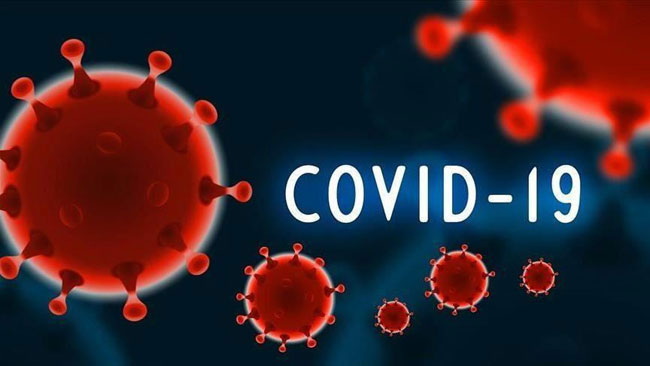Five more COVID-19 deaths bring tally to 566
