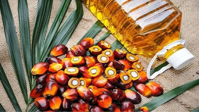 President orders immediate ban on import of Palm oil