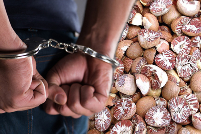 Customs officer arrested for allegedly forging documents to re-export areca nuts