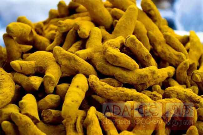 Customs seizes more than 7,000 kg of illegally-imported turmeric