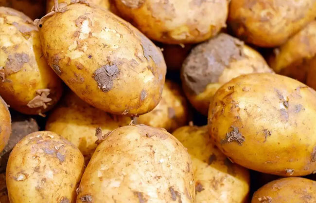 Special Commodity Levy on imported potatoes increased