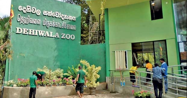 Zoos, safari parks and elephant orphanages closed to the public