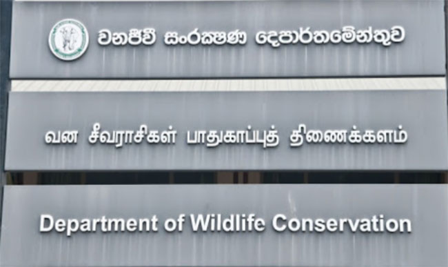 Wildlife circuit bungalows and campsites temporarily closed