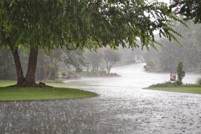 Five provinces to receive fairly heavy showers above 75mm