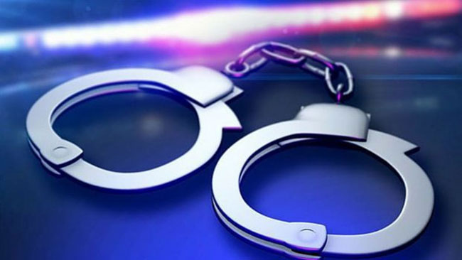 Seven arrested for attending a party violating quarantine laws