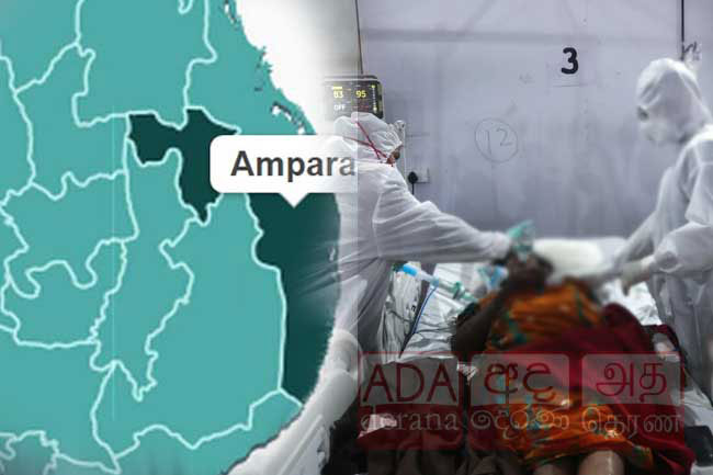 Case of Indias Black Fungus reported from Ampara
