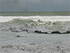 PM inspects coastal area affected by X-Press Pearl  debris