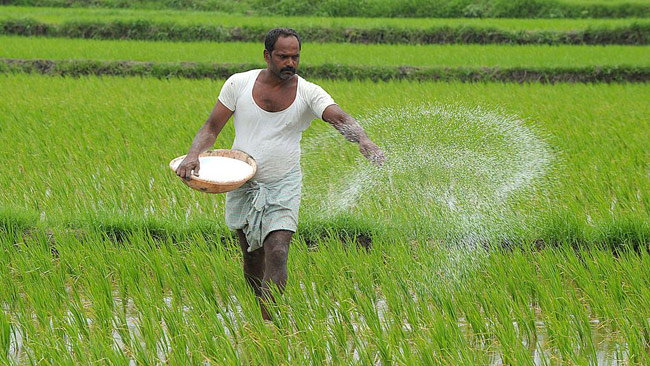 Govt to import organic fertilizer needed for Maha Season