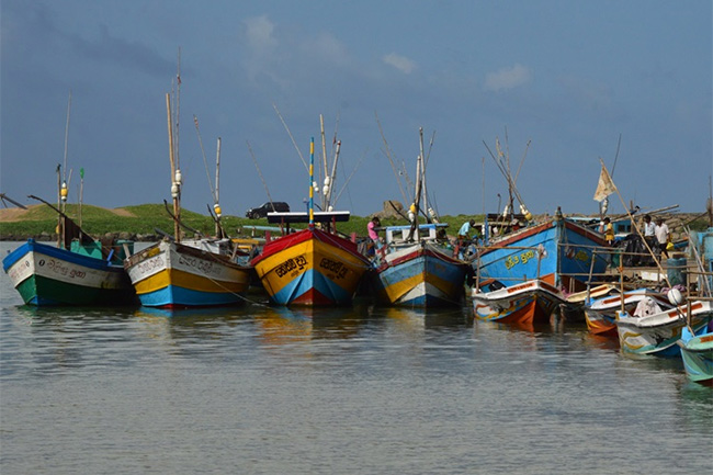 Fishing activities from Panadura to Negombo temporarily banned