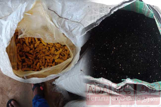 Navy intercepts attempt to smuggle large stocks of turmeric and onion seeds