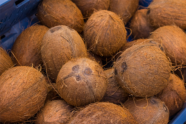 CAA removes maximum retail price imposed on coconuts