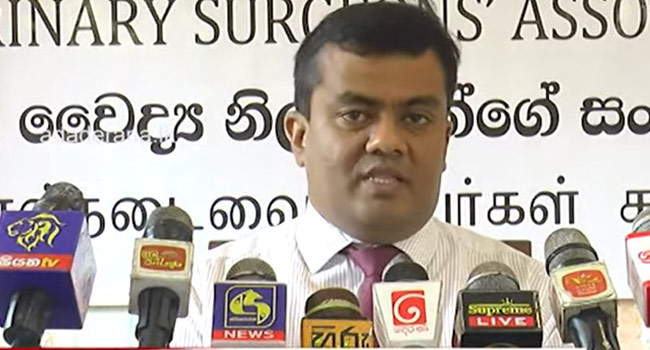 No record of animals passing on coronavirus to humans - veterinary surgeons