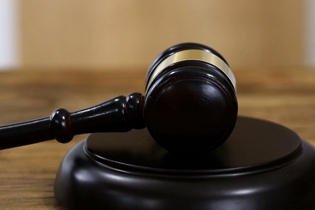 Thirteen arrested over protests granted bail, several directed to quarantine