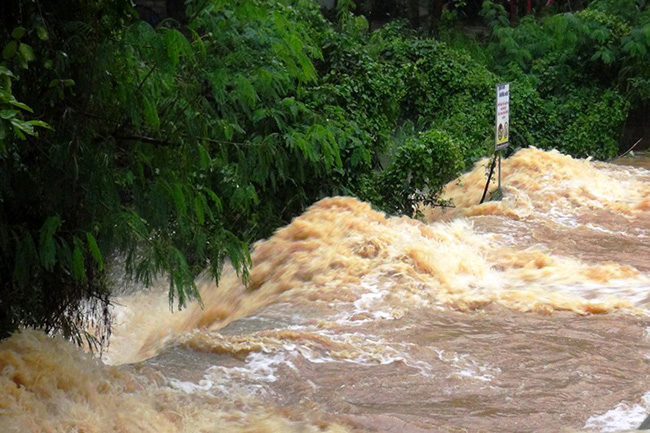 Minor flood warnings issued for low-lying areas of four rivers