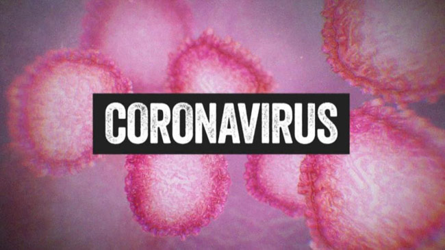 Daily coronavirus case tally at 1,453