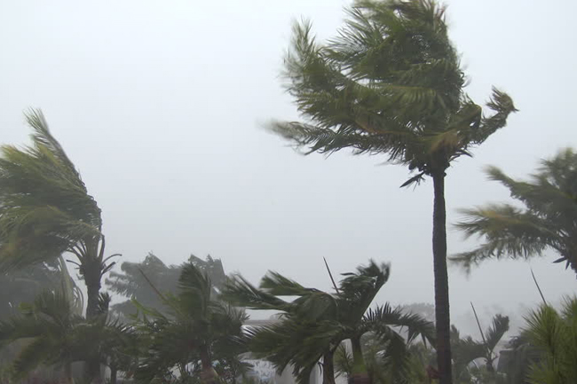 Met. Dept. issues advisory for gusty winds