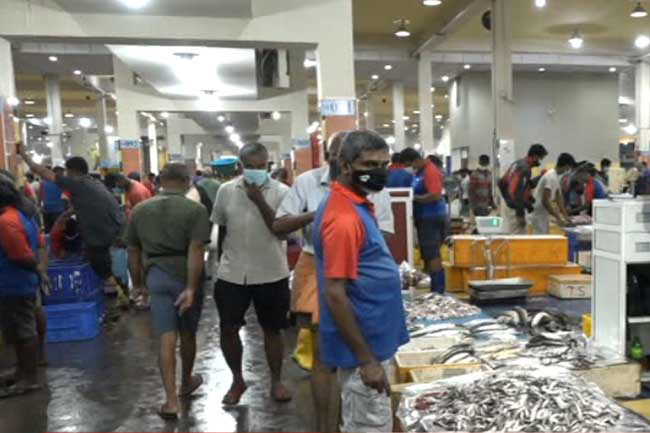 Peliyagoda Fish Market opens for wholesale trade