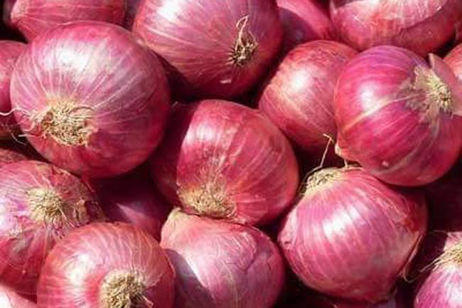 Import tax on Big Onions