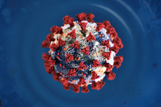 Coronavirus: 2,842 new positive cases recorded within the day