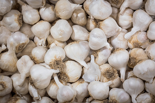 Four Sathosa officials interdicted over garlic scam