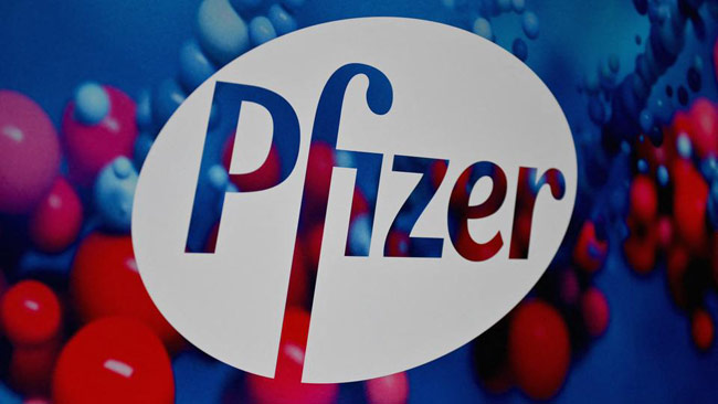 Pfizer begins large trial to test its anti-COVID pill