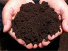 Sri Lanka suspends importing organic fertilizer from Chinese company