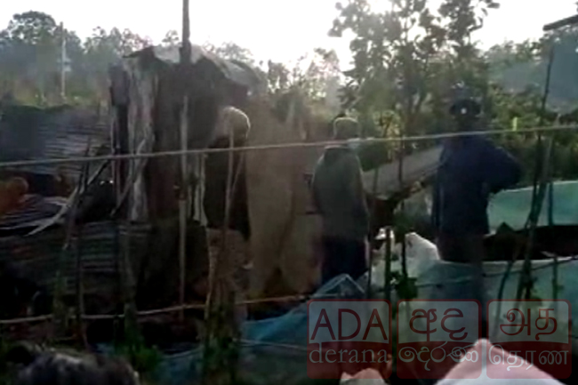 Five including children killed in house fire in Nuwara Eliya