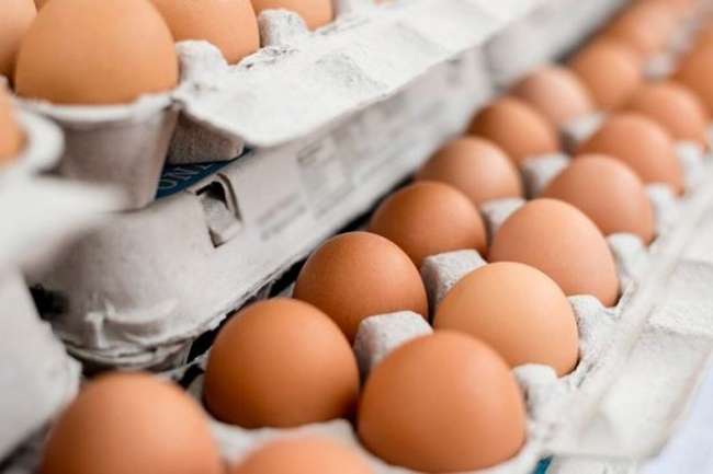 Prices of eggs likely to go up