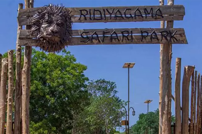 Ridiyagama Safari Park visitors required to make bookings in advance