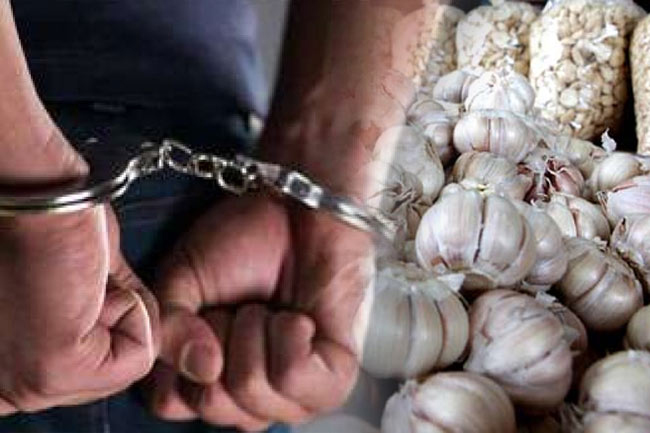 Son of Bambalapitiya businessman arrested over garlic scam