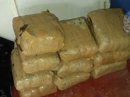 20kg of Kerala Cannabis recovered in Delft