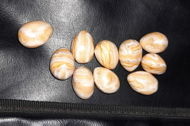 Three arrested while attempting to sell elephant pearls
