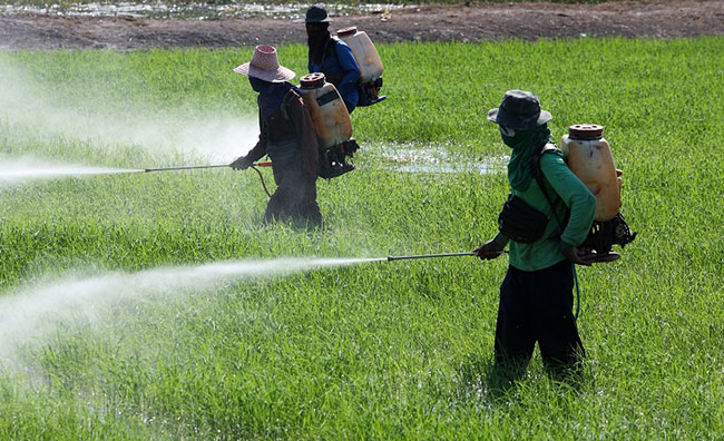 Gazette banning pesticides including Glyphosate revoked