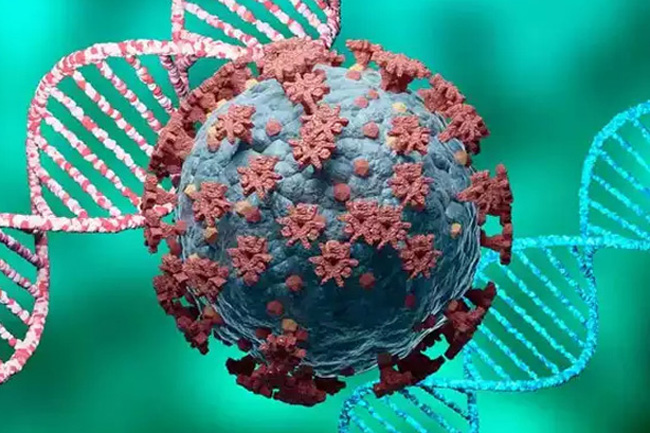 New highly mutated COVID variant in South Africa raises concerns